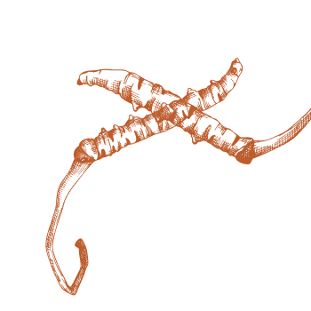 Améliorez votre routine quotidienne