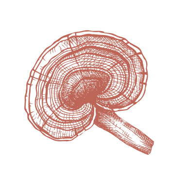 Revenez à la tradition et renforcez votre système immunitaire