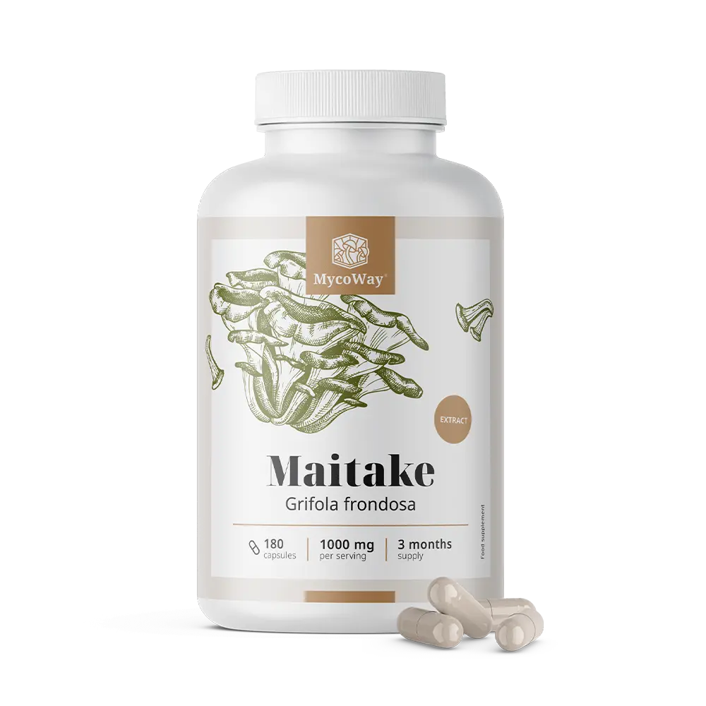 Maitake 1000 mg - extrait.
