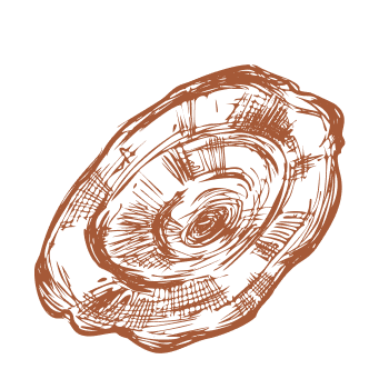 Faites un pas vers la vitalité et la force