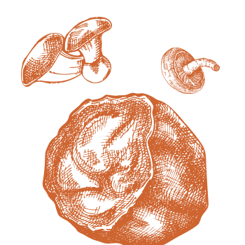 Établissez l'équilibre dans votre corps