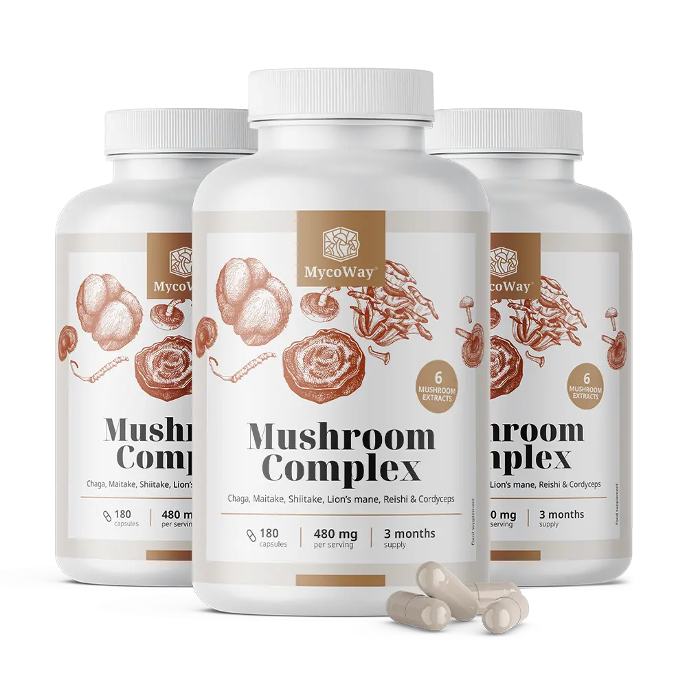 Complexe de 6 champignons