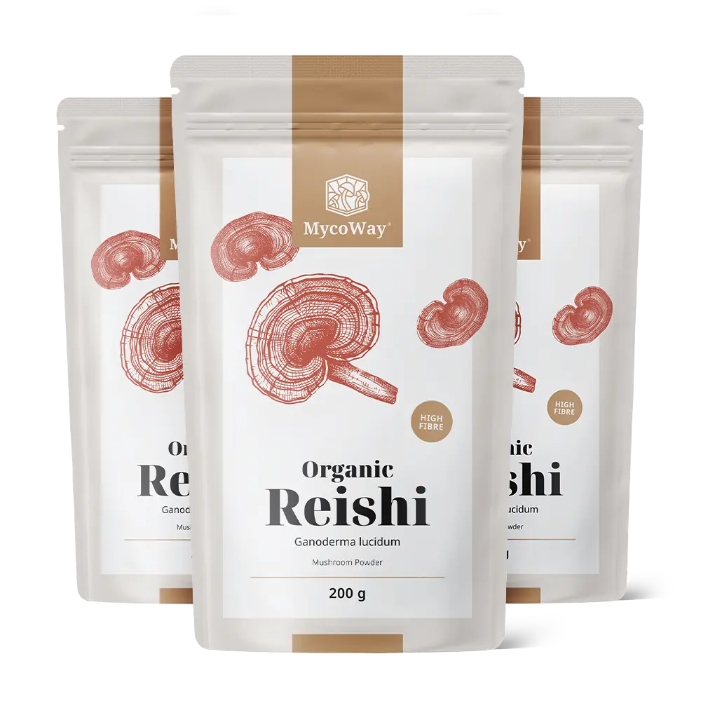 BIO Reishi en poudre