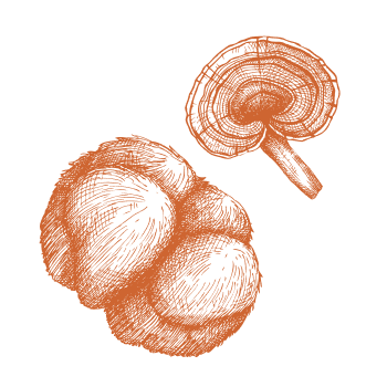 Puissance et énergie de la nature