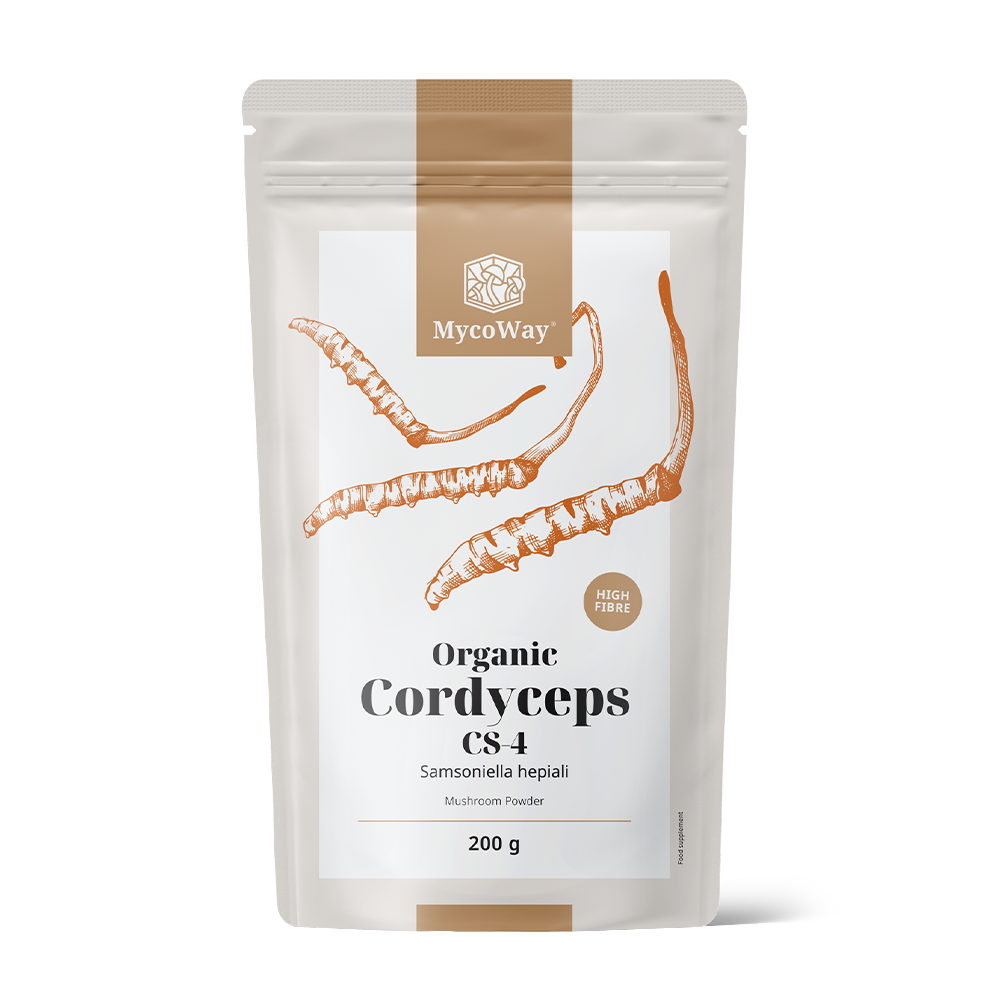 BIO Cordyceps sinensis en poudre.