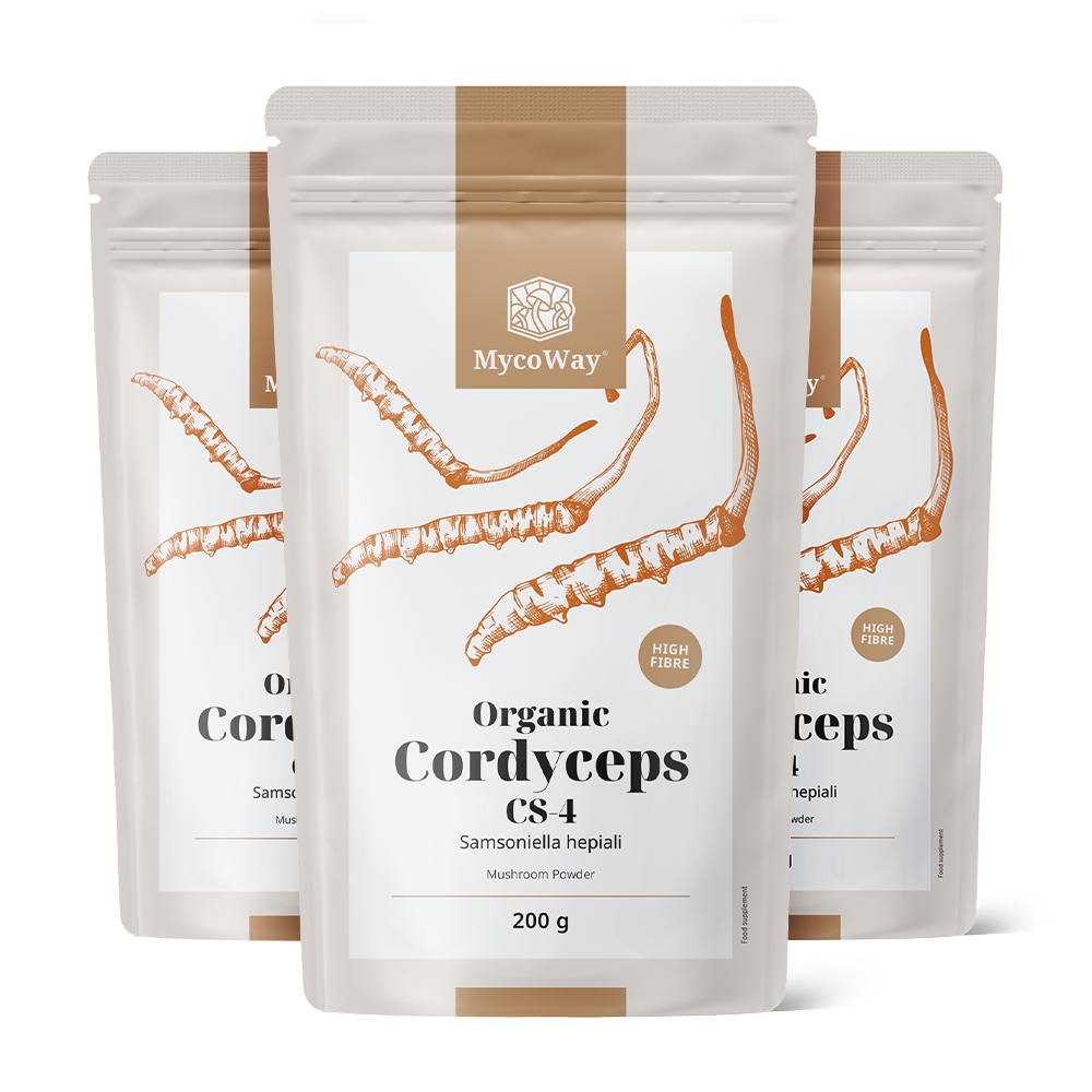 BIO Cordyceps sinensis en poudre