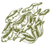 Prenez soin de votre corps avec les cadeaux offerts par la nature.