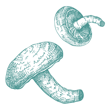 Tradition millénaire pour soutenir le corps