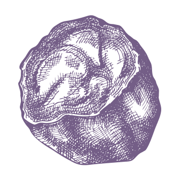 Le secret de la nature pour une vie équilibrée