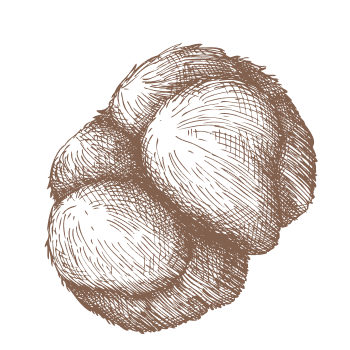 Un soutien polyvalent pour des jours pleins de défis