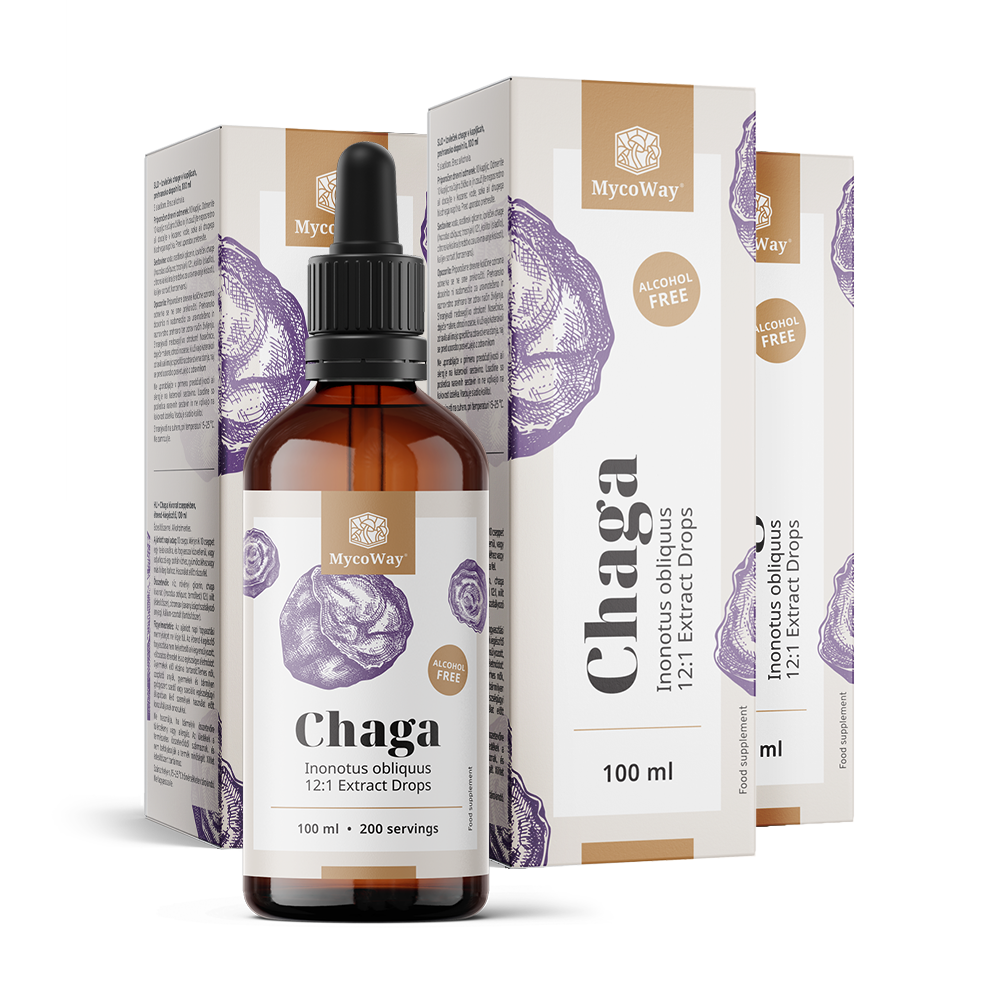 Chaga – extrait en gouttes