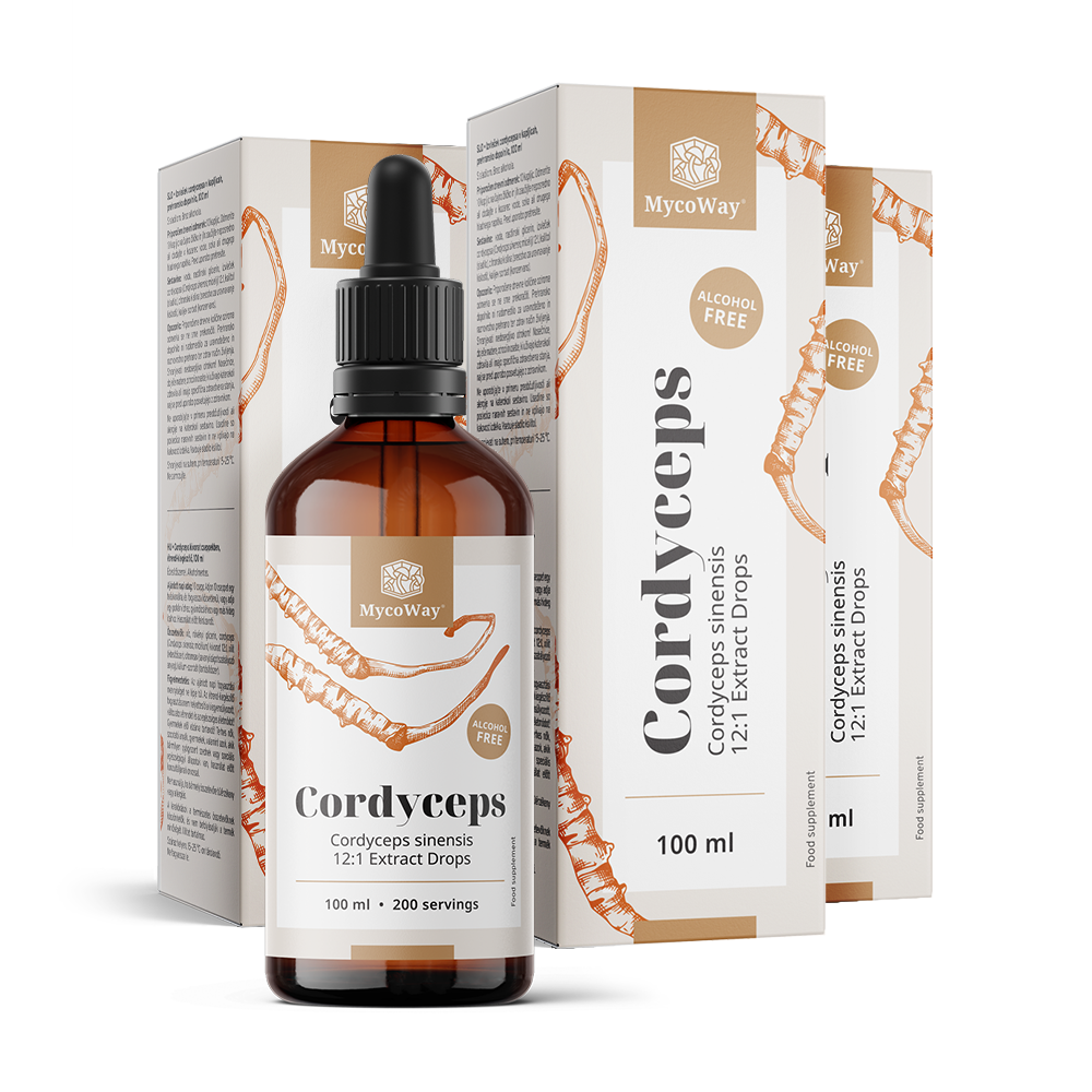 Cordyceps - extrait en gouttes